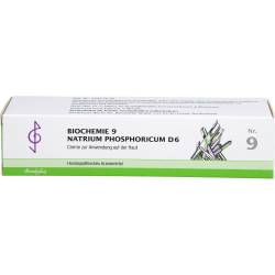 Biochemie 9 Natrium phosphoricum D 6 Creme 100 ml