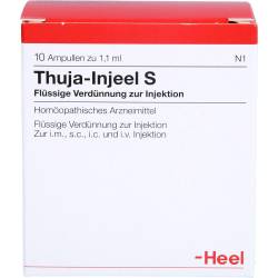 Thuja Injeel S Ampullen 10 St