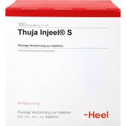 Thuja Injeel S Ampullen 100 St