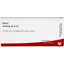 Arteriae Gl D 12 Ampullen 10 ml