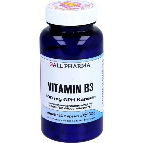 Vitamin B3 100 mg Gph Kapseln 120 St