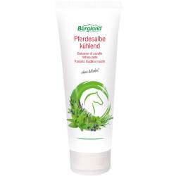 Pferdesalbe kühlend 100 ml