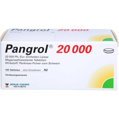 Pangrol 20.000 magensaftresistente Tabletten 100 St