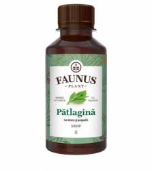 Sirop Platagina cu miere si propolis, 200ml - Faunus Plant