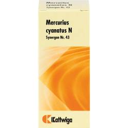 Synergon Komplex 43 Mercurius cyanatus N Tabletten 100 St