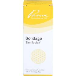 Solidago Similiaplex Tropfen 100 ml