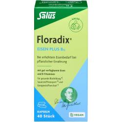 Floradix Eisen plus B12 vegan Kapseln 40 St
