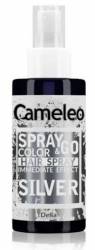 NUANTATOR SPRAY COLORANT SILVER 150ML - DELIA COSMETICS