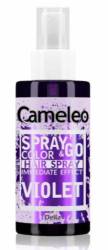 NUANTATOR SPRAY COLORANT VIOLET 150ML - DELIA COSMETICS