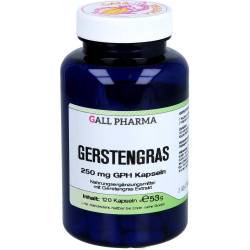 Gerstengras 250 mg Gph Kapseln 120 St