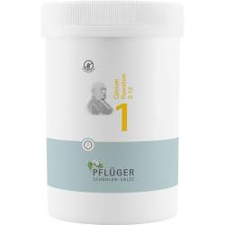 Biochemie Pflüger 1 Calcium fluoratum D 12 Tabl. 4000 St