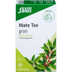 Mate Tee grün Kräutertee Mate folium Bio Salus 15 St