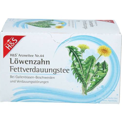 H&S Löwenzahn Filterbeutel 40 g