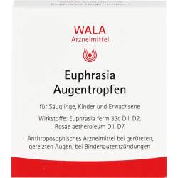 Euphrasia Augentropfen 5 ml