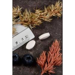 Betain Hcl+250 mg Kal Tabletten 100 St
