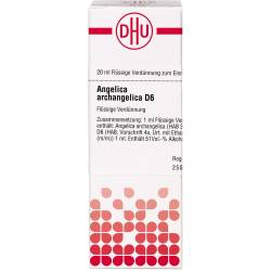 Angelica Archangelica D 6 Dilution 20 ml