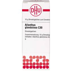 Ailanthus Glandulosa C 30 Globuli 10 g