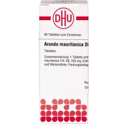 Arundo mauritanica D 6 Tabletten 80 St