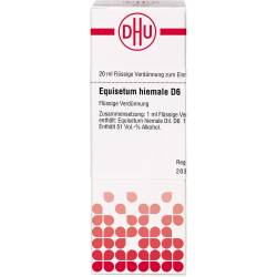 Equisetum Hiemale D 6 Dilution 20 ml