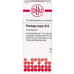 Plantago Major D 12 Globuli 10 g