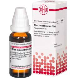 Rhus Toxicodendron D 200 Dilution 20 ml