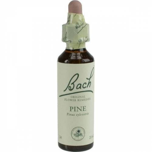 Pine - Pin (Bach24) 20ml - Remediu Floral Bach