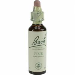 Pine - Pin (Bach24) 20ml - Remediu Floral Bach
