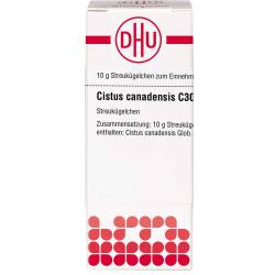 Cistus Canadensis C 30 Globuli 10 g
