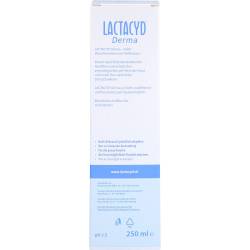 Lactacyd Derma Waschsyndet 250 ml