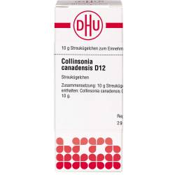 Collinsonia Canadensis D 12 Globuli 10 g