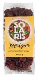 MERISOR INDULCIT CU SUC DE ANANAS 300g - SOLARIS