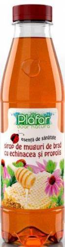 Sirop Muguri de brad, Echinacea si Propolis 500ml - Plafar
