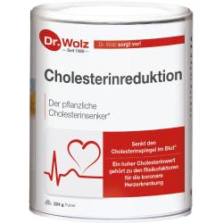 Cholesterinreduktion Dr.Wolz Pulver 224 g