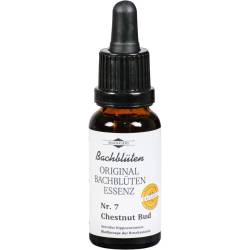 Bachblüten Murnauer Chestnut Bud Tropfen 20 ml