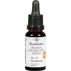 Bachblüten Murnauer Hornbeam Tropfen 20 ml