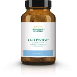 B-Life Protect Kapseln 120 St