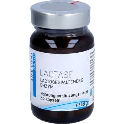 Lactase Kapseln 60 St