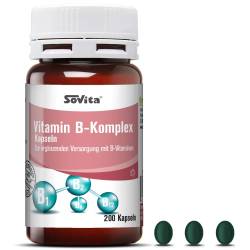 Sovita Active Vitamin B Komplex Kapseln 200 St