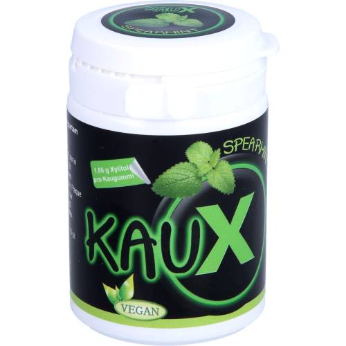Kaux Zahnpflegekaugummi Spearmint mit Xylitol 40 St
