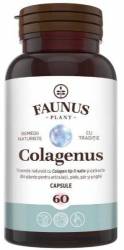 COLAGENUS - Colagen cu extracte din plante - 60CPS - FAUNUS PLANT