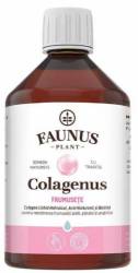 COLAGENUS FRUMUSETE - Colagen lichid hidrolizat si extracte din plante  500ML - FAUNUS PLANT