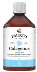 COLAGENUS ARTICULATII - Colagen hidrolizat combinat cu Aloe Vera, Catina - 500ML - FAUNUS PLANT