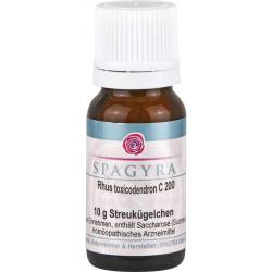 Rhus Toxicodendron C 200 Globuli 10 g