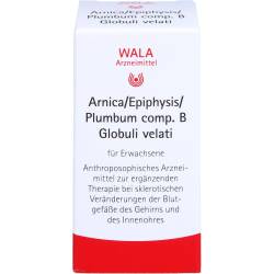 Arnica/Epiphysis/Plumbum comp.B Globuli 20 g