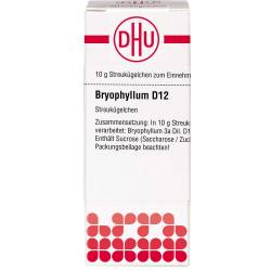Bryophyllum D 12 Globuli 10 g