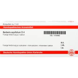 Berberis Aquifolium D 4 Ampullen 8 ml