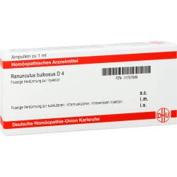 Ranunculus Bulbosus D 4 Ampullen 8 ml