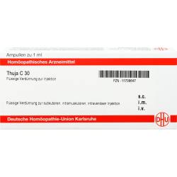 Thuja C 30 Ampullen 8 ml