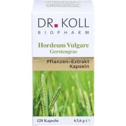Gerstengras Hordeum vulgare Kapseln 120 St