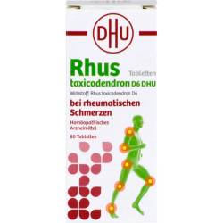 Rhus Toxicodendron D 6 Tabl.bei rheumat.Schmerzen 80 St